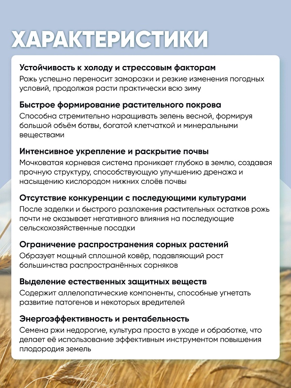 Рожь 1 кг.